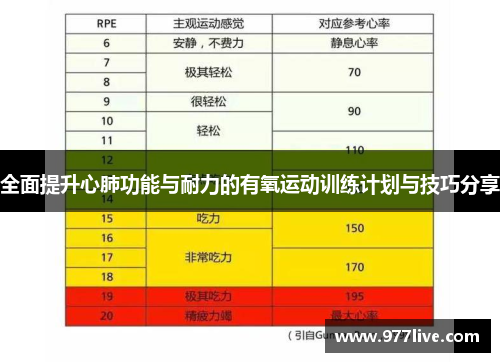 全面提升心肺功能与耐力的有氧运动训练计划与技巧分享