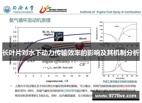 长叶片对水下动力传输效率的影响及其机制分析