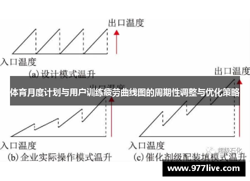 体育月度计划与用户训练疲劳曲线图的周期性调整与优化策略
