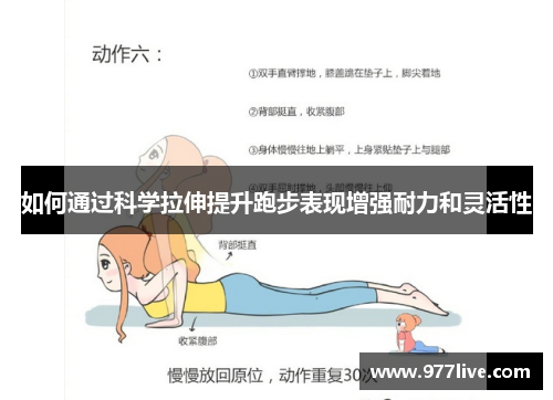 如何通过科学拉伸提升跑步表现增强耐力和灵活性