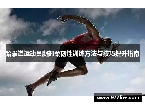 跆拳道运动员腿部柔韧性训练方法与技巧提升指南