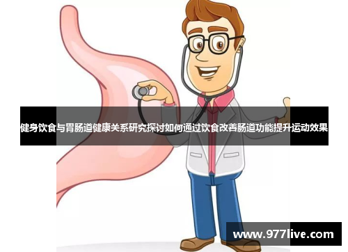 健身饮食与胃肠道健康关系研究探讨如何通过饮食改善肠道功能提升运动效果