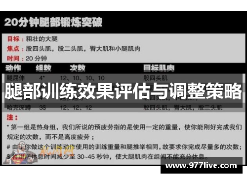 腿部训练效果评估与调整策略